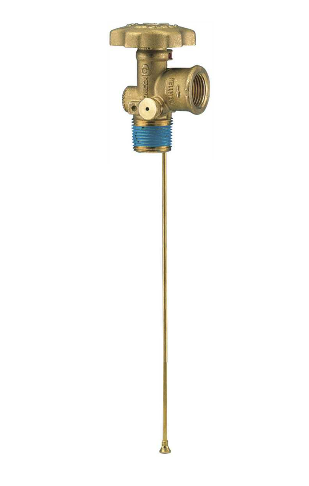 Service Valve 3/4" NPT F.POL 11.1" Diptube DT Bleeder No Relief