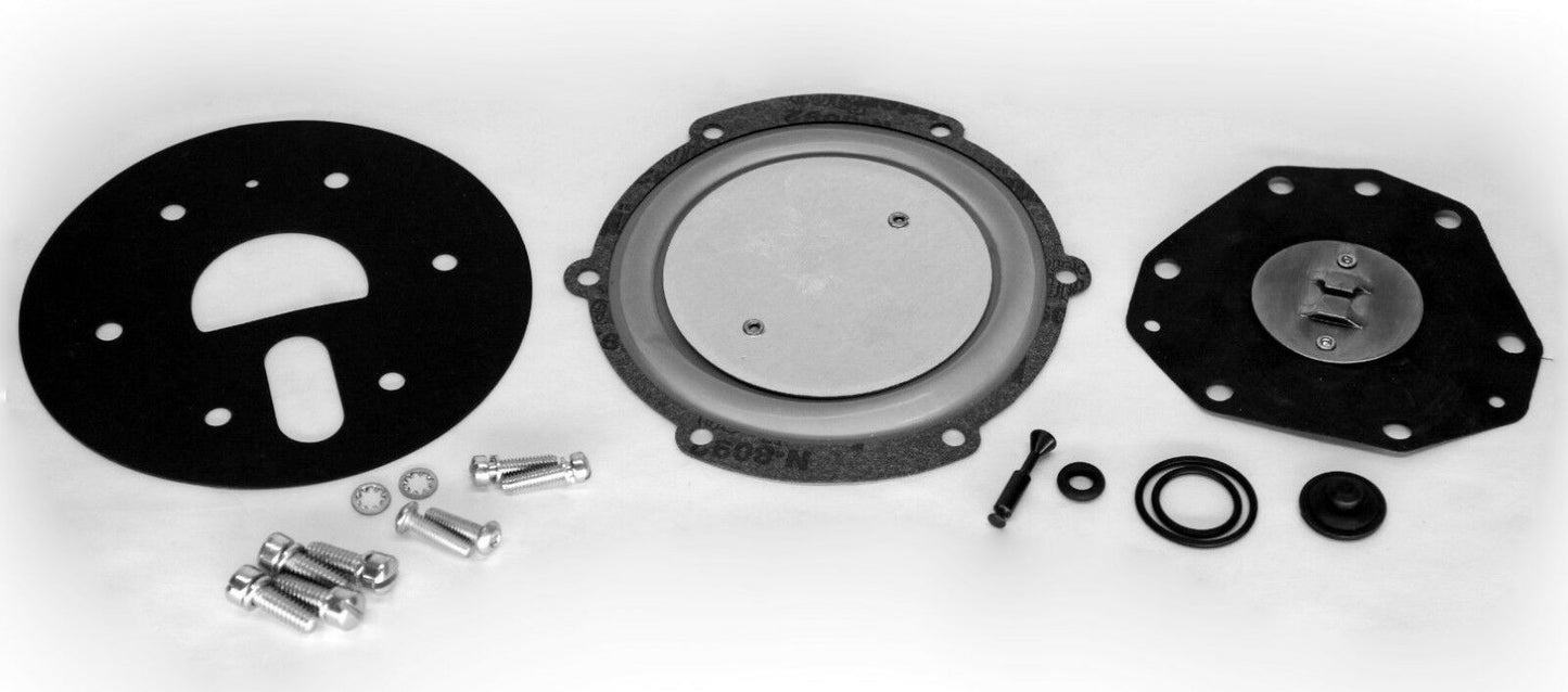 COMPLETE REPAIR REBUILD KIT 2001 REGULATOR CONVERTER VAPORIZER WOODWARD STYLE