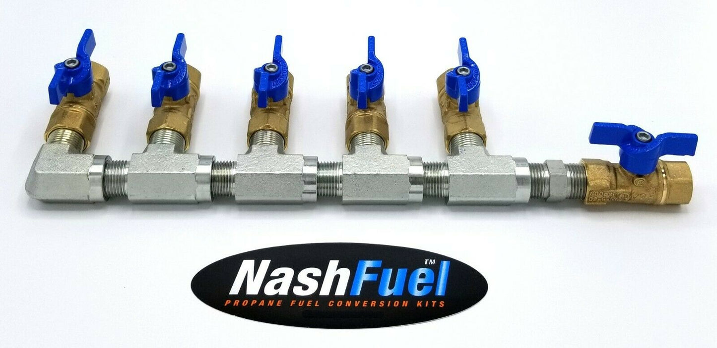 1/2" PIPE LOW PRESSURE PROPANE NATURAL GAS MANIFOLD NPT THREAD LPG BALL VALVE